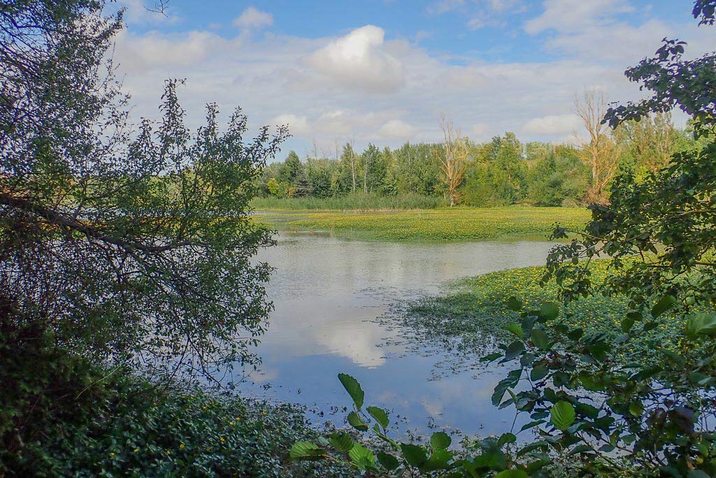 lac de la thesauque