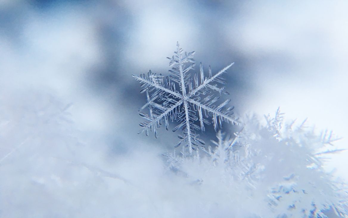 flake damian-mccoig--unsplash