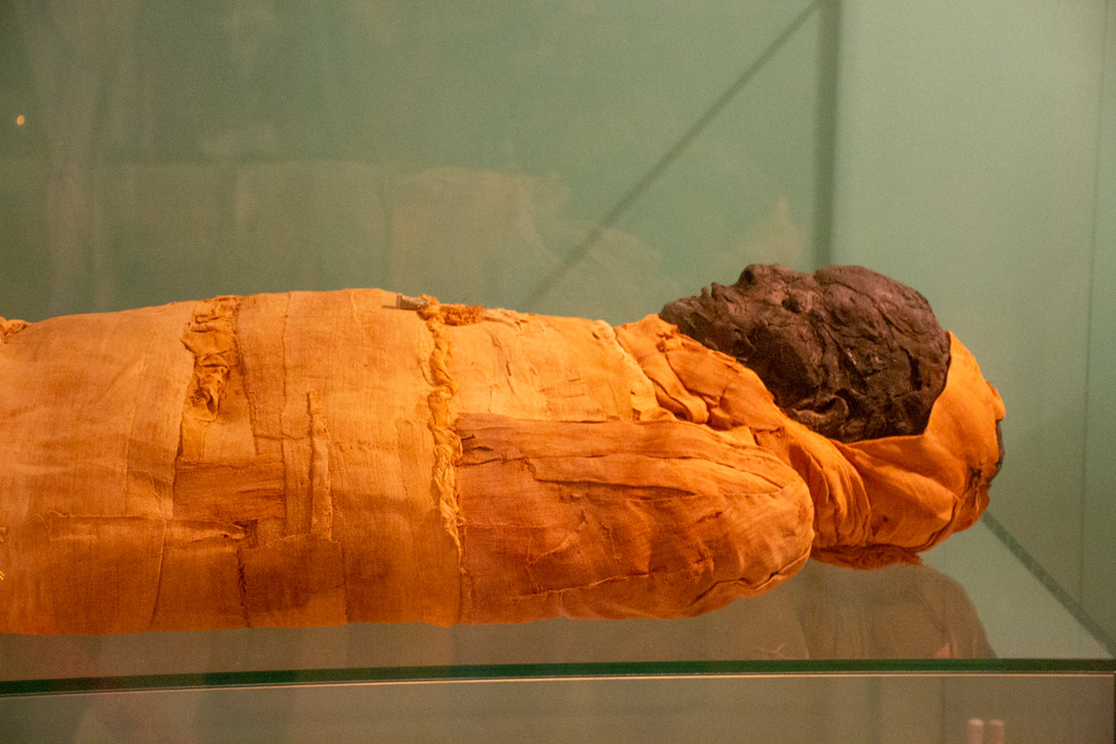 Musée Georges Labit