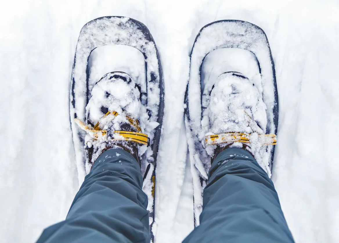 raquettes-dakota-corbin--unsplash