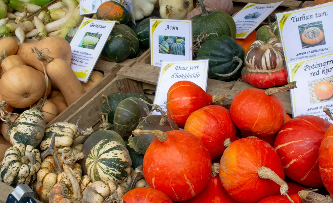 courge