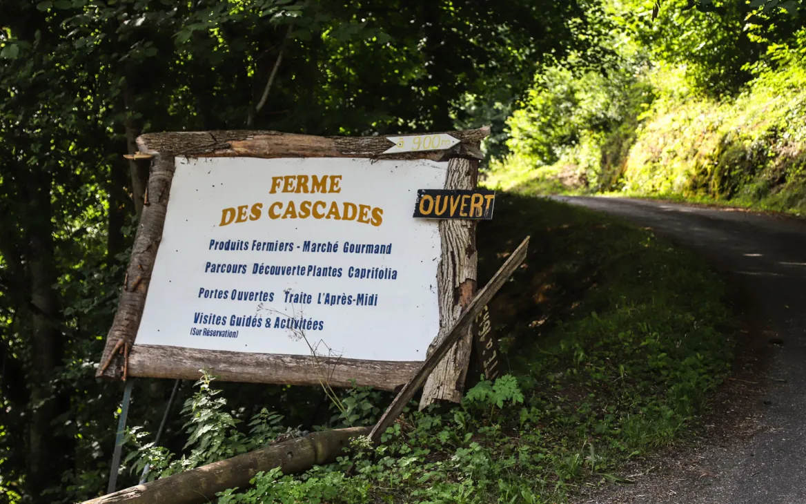 Cascades Farm