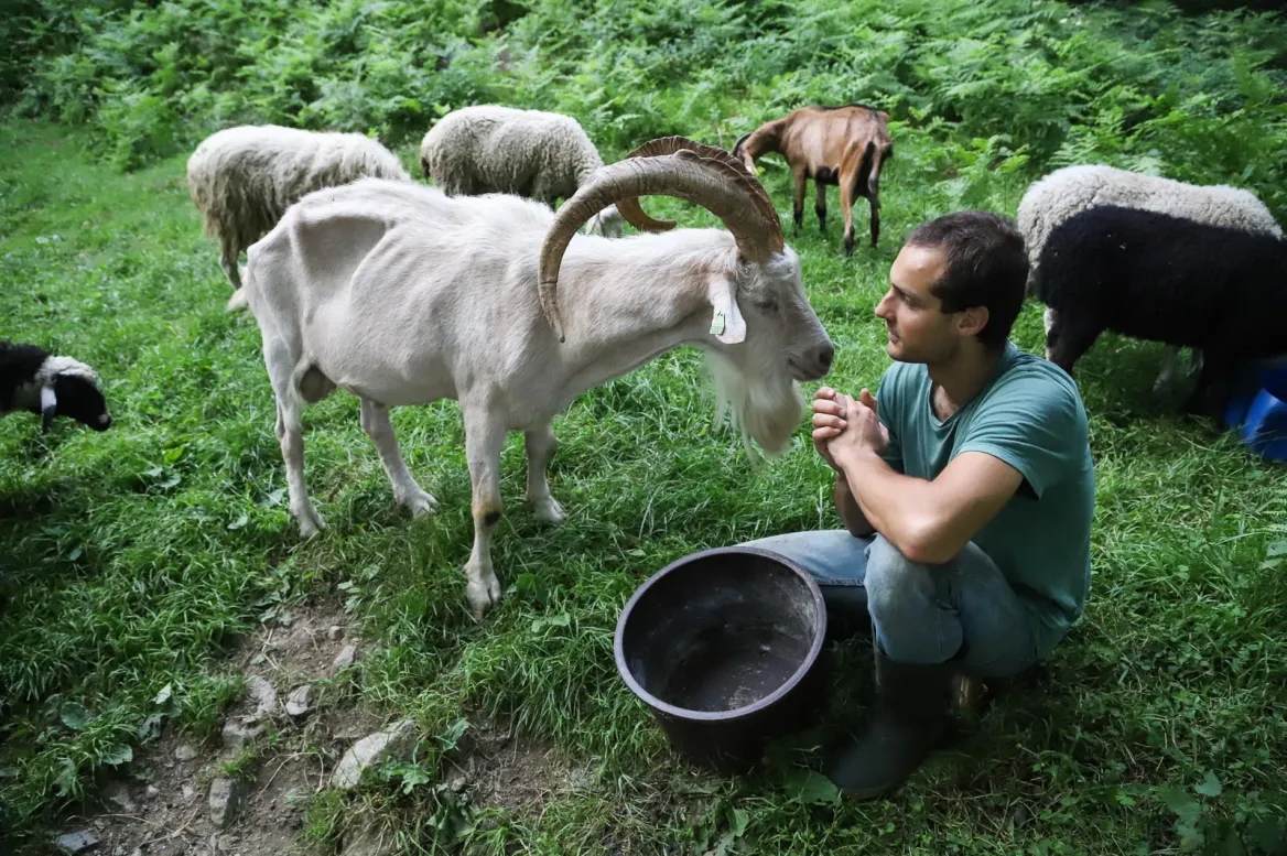 Cascades Farm Pastures