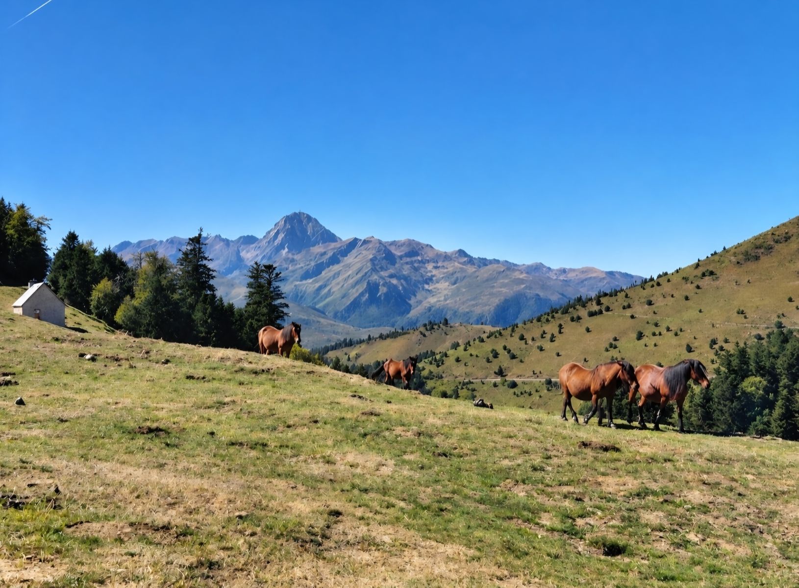 Midi Pyrénées
