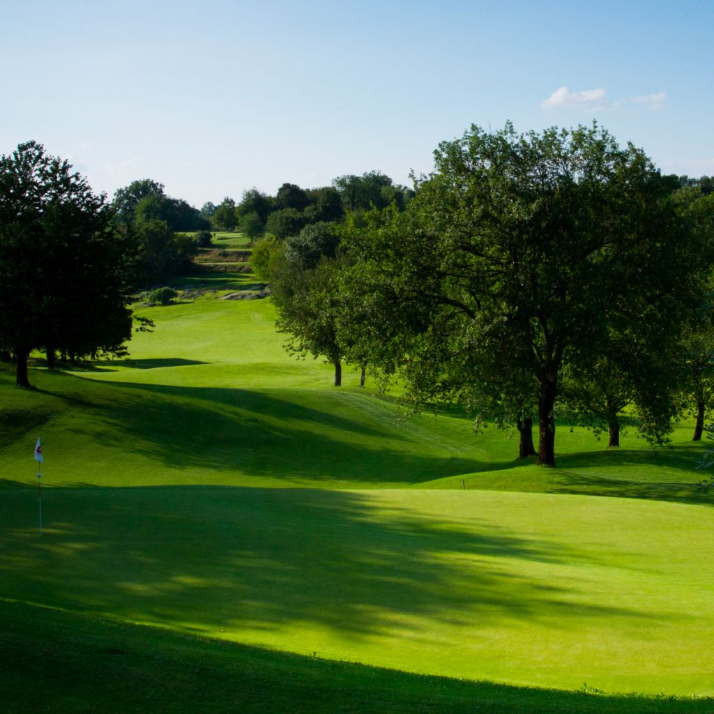 Ecogolf Ariège Pyrénées at La Bastide-de-Sérou - An astonishingly diverse career
