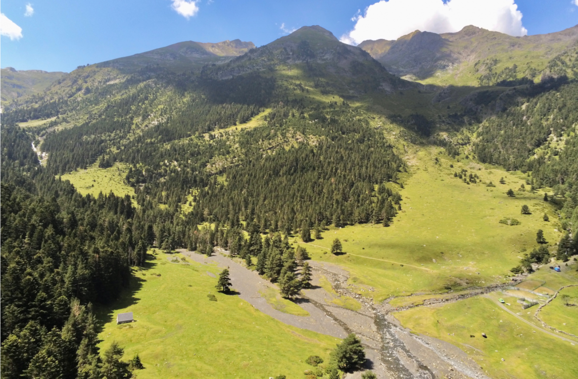Pyrénées